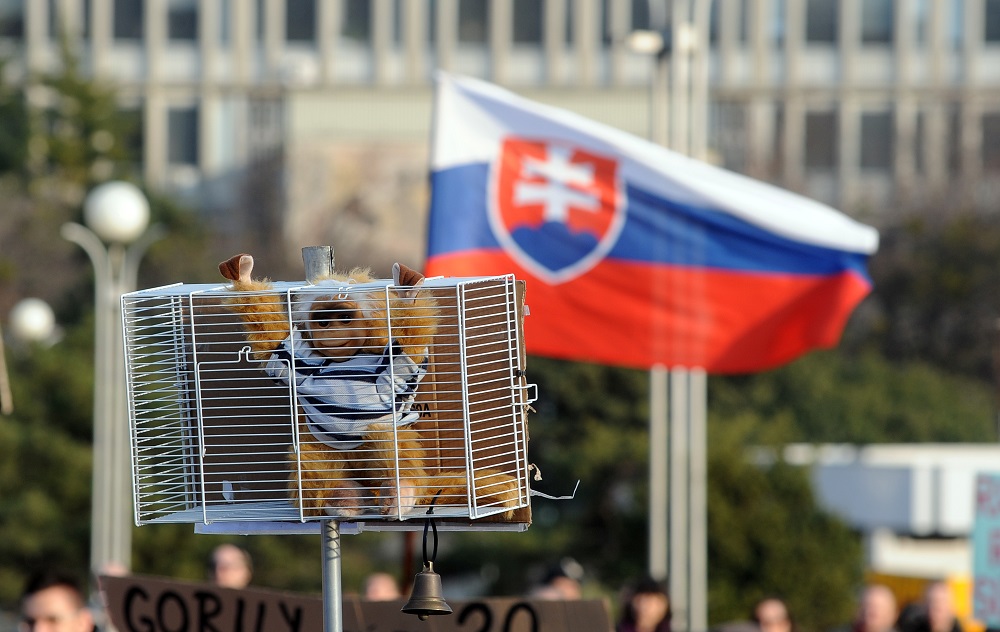 A Gorilla soft toy is brandished in a cage during a rally at the Namestie Slobody Square in Bratislava, on March 9, 2012, ahead of the March 10 general elections, during anti-corruption demonstration against "Gorilla" scandal. The SDKU-DS party of outgoing premier Iveta Radicova is reeling from the impact of the so-called "Gorilla" scandal, sparked by secret service wiretaps of alleged meetings between top politicians and local financial group leaders leaked on the Internet in December 2011.    AFP PHOTO/ SAMUEL KUBANI / AFP PHOTO / SAMUEL KUBANI