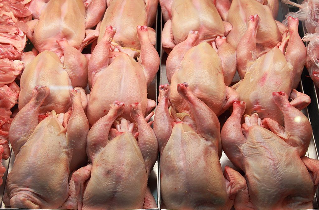 Fresh chickens for sale in a butcher shop