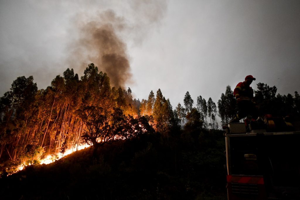 A firefighter stands on top of a fire combat truck during a wildfire at Penela, Coimbra, central Portugal, on June 18, 2017
A wildfire in central Portugal killed at least 25 people and injured 16 others, most of them burning to death in their cars, the government said on June 18, 2017. Several hundred firefighters and 160 vehicles were dispatched late on June 17 to tackle the blaze, which broke out in the afternoon in the municipality of Pedrogao Grande before spreading fast across several fronts.    / AFP PHOTO / PATRICIA DE MELO MOREIRA