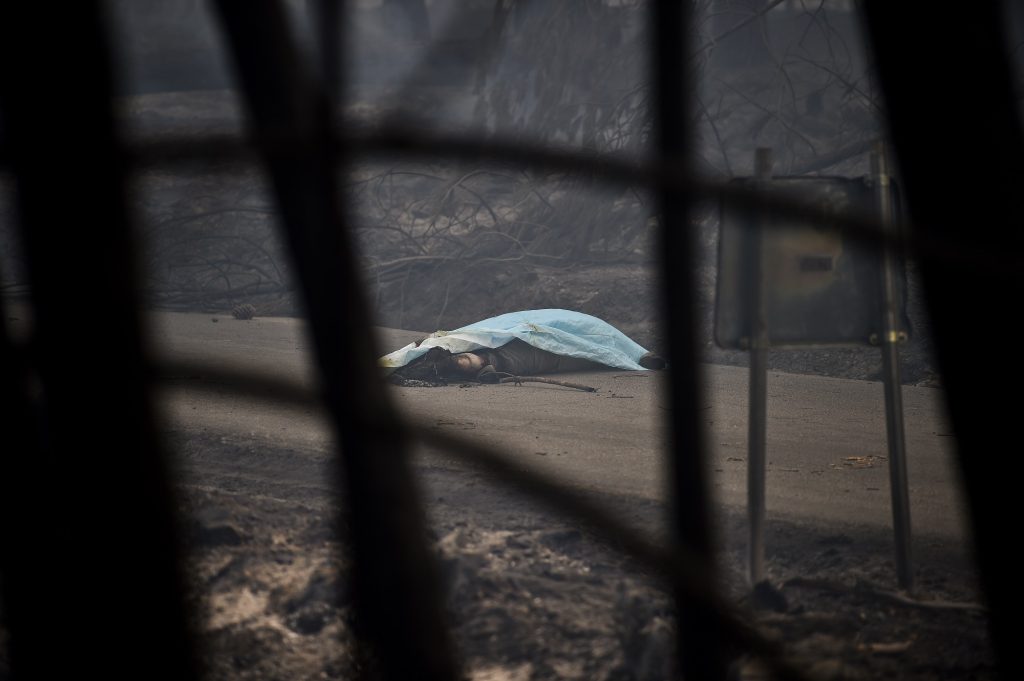 The dead body of a victim of a wildfire lies covered by a blanket on a road in Pedrogao, on June 18, 2017.
A wildfire in central Portugal killed at least 57 people and injured 59 others, most of them burning to death in their cars, the government said on June 18, 2017. Several hundred firefighters and 160 vehicles were dispatched late on June 17 to tackle the blaze, which broke out in the afternoon in the municipality of Pedrogao Grande before spreading fast across several fronts.    / AFP PHOTO / PATRICIA DE MELO MOREIRA