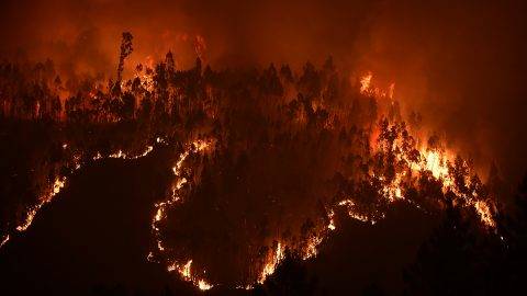 A picture taken on June 18, 2017 shows a forest in flames during a wildfire near the village of Mega Fundeira. Portugal declared three days of national mourning from June 18, 2017 after the most deadly forest fire in its recent history, raging through the centre of the country.The fire, which broke out June 17, 2017 in the Pedrogao Grande district, had killed at least 62 people and injured more than 50, according to the latest official update by Sunday afternoon.   / AFP PHOTO / MIGUEL RIOPA