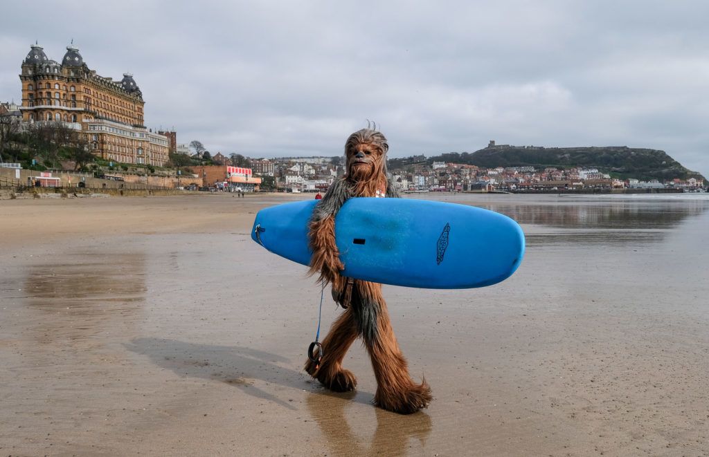 SCARBOROUGH, ENGLAND - APRIL 06: Will Hyde from Darlington wears the costume of the Chewbacca character from the movie Star Wars as he carries a surf board across the beach after interacting with surfers on the first day of the Scarborough Sci-Fi weekend at the seafront Spa Complex on April 06, 2019 in Scarborough, England. The North Yorkshire seaside town of Scarborough hosts the event for the sixth year and brought many areas of Sci-Fi fandom to entertain visitors and enthusiasts including guest star appearances, panel discussions, gaming, cosplay, props, comic books and merchandise stalls with many of those attending wearing costumes and outfits of their favourite Sci-Fi characters. (Photo by Ian Forsyth/Getty Images)