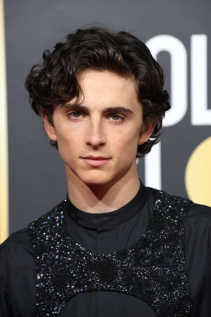 BEVERLY HILLS, CA - JANUARY 06:   Timothee Chalamet attends the 76th Annual Golden Globe Awards at The Beverly Hilton Hotel on January 6, 2019 in Beverly Hills, California.  (Photo by Steve Granitz/WireImage)