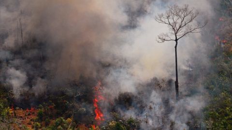 Aerial picture showing a fire raging in the Amazon rainforest about 65 km from Porto Velho, in the state of Rondonia, in northern Brazil, on August 23, 2019. - Bolsonaro said Friday he is considering deploying the army to help combat fires raging in the Amazon rainforest, after news about the fires have sparked protests around the world. The latest official figures show 76,720 forest fires were recorded in Brazil so far this year -- the highest number for any year since 2013. More than half are in the Amazon. (Photo by Carl DE SOUZA / AFP)